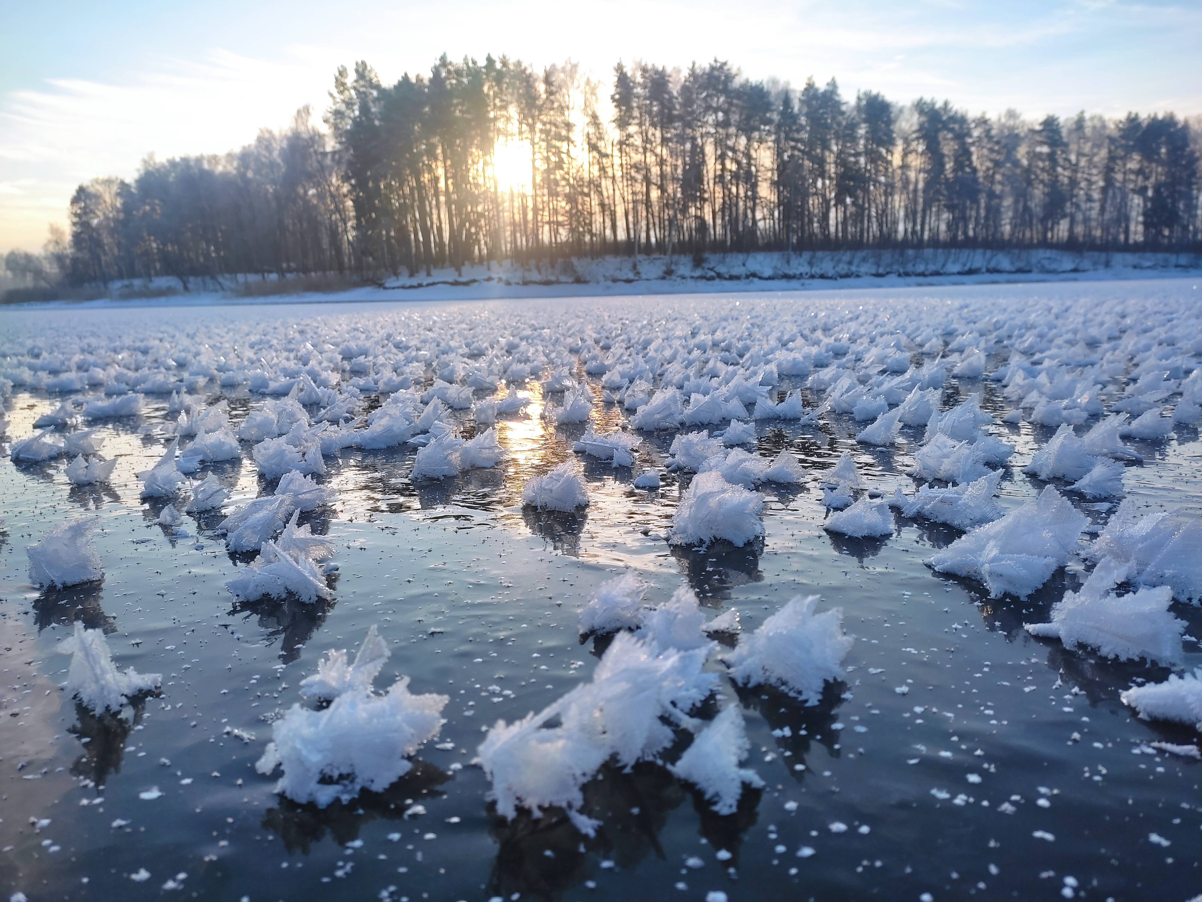 Истринское водохранилище преобразилось до неузнаваемости | 03.12.2022 |  Истра - БезФормата